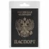 Обложка Паспорт STAFF "Profit", экокожа, черная