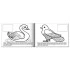Раскраска А5 4л. Хатбер Мои первые уроки "Птицы",. с наклейками